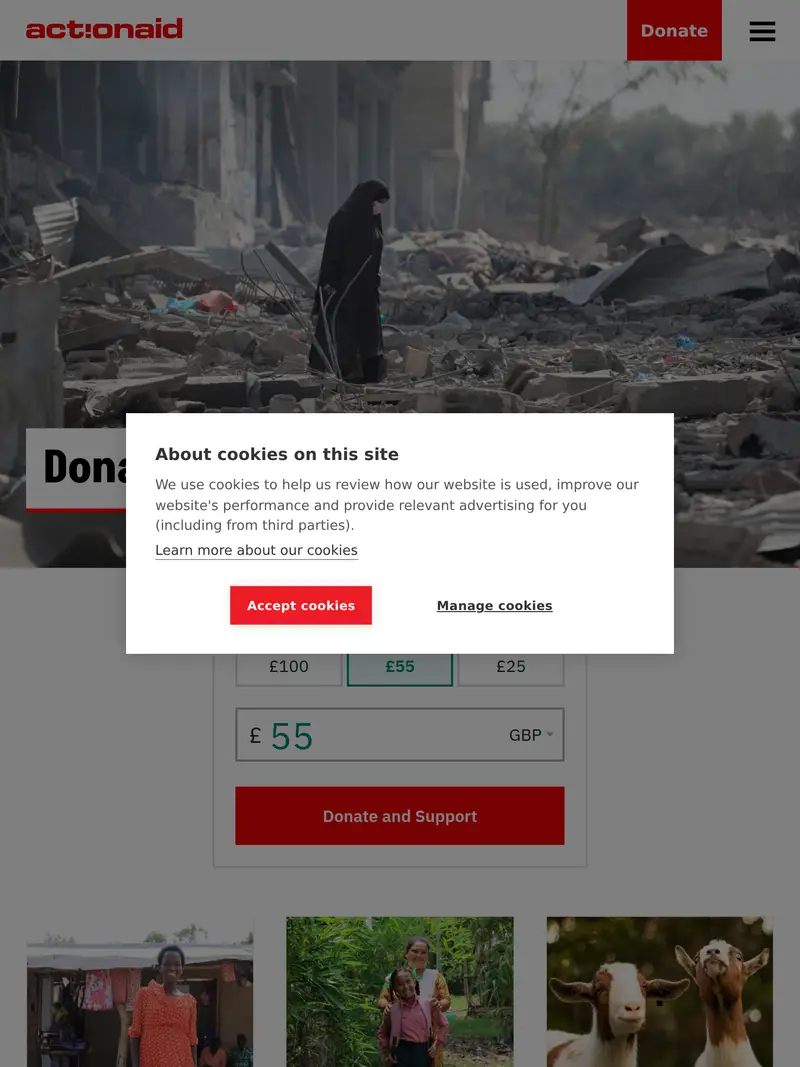 ActionAid - homepage (tablet)