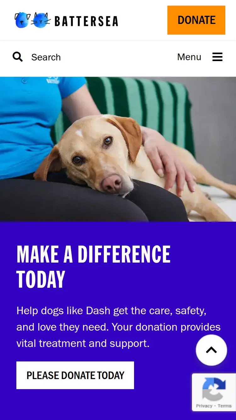 Battersea Dogs & Cats Home - homepage (mobile)