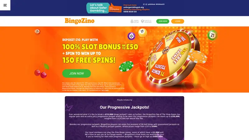 Bingo Zino - homepage (desktop)