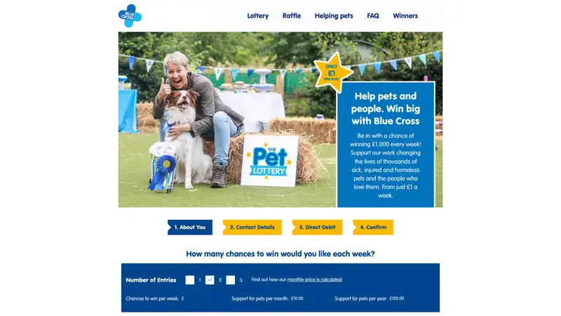 Blue Cross - homepage (desktop)
