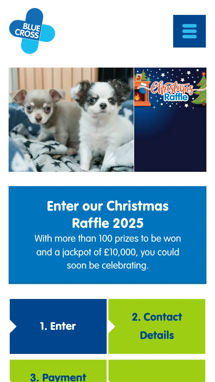 Blue Cross - homepage (mobile)