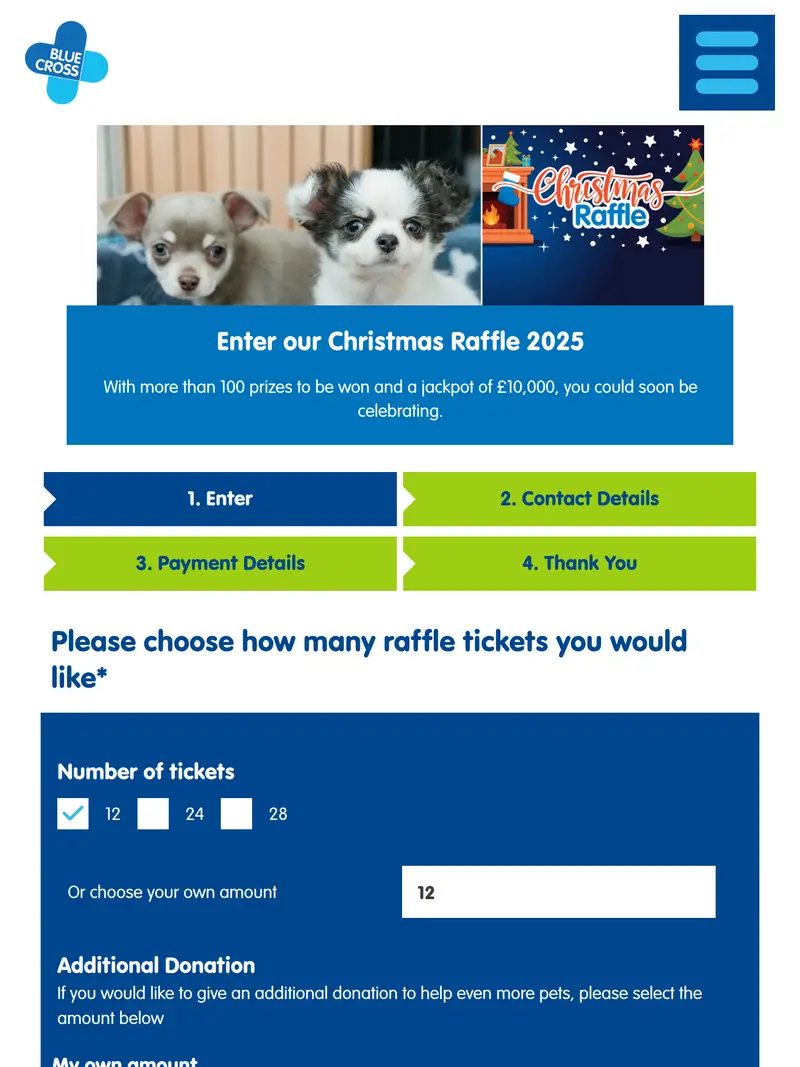 Blue Cross - homepage (tablet)