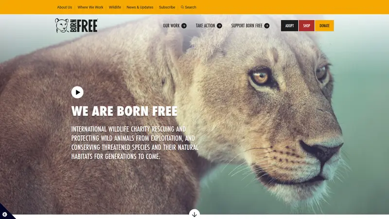 Born Free Foundation - homepage (desktop)