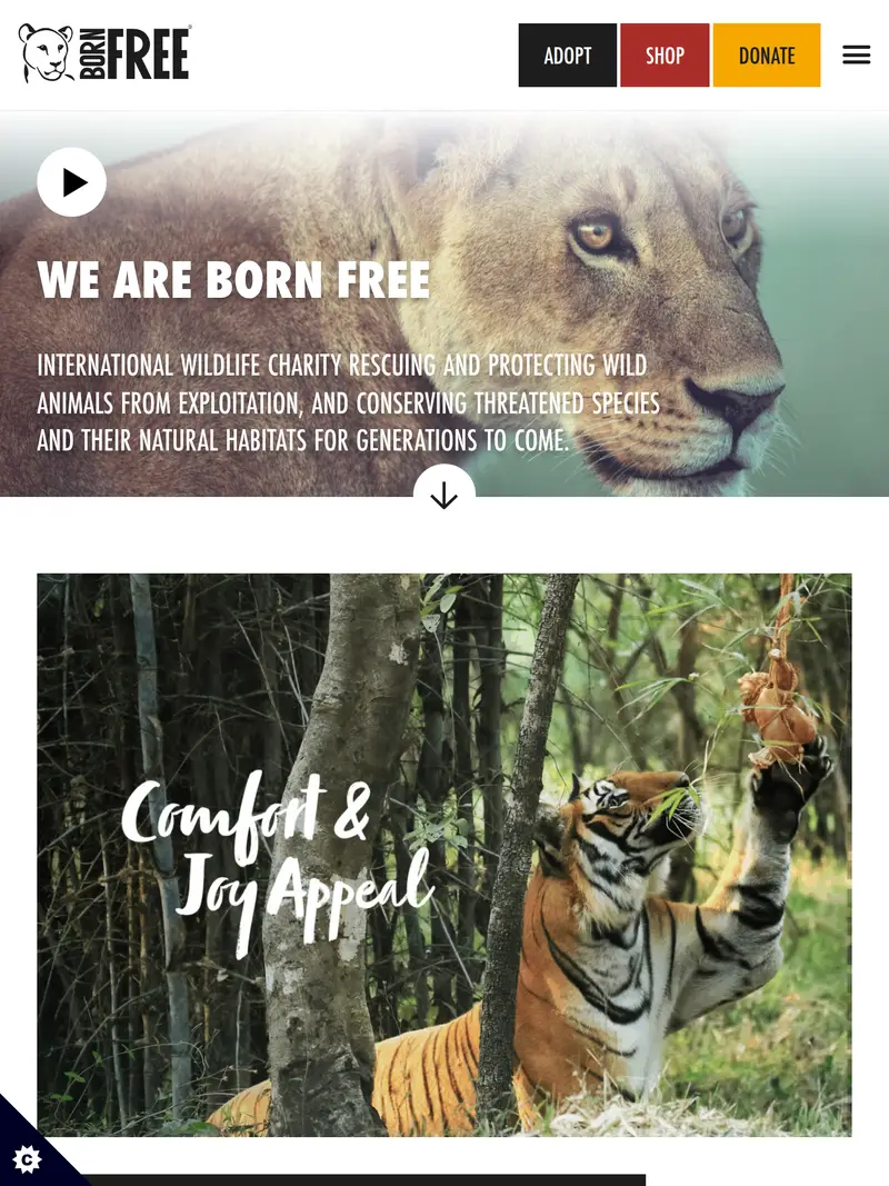 Born Free Foundation - homepage (tablet)