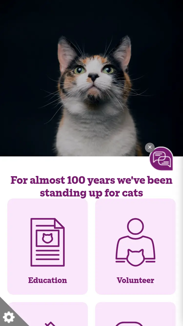 Cats Protection - homepage (mobile)