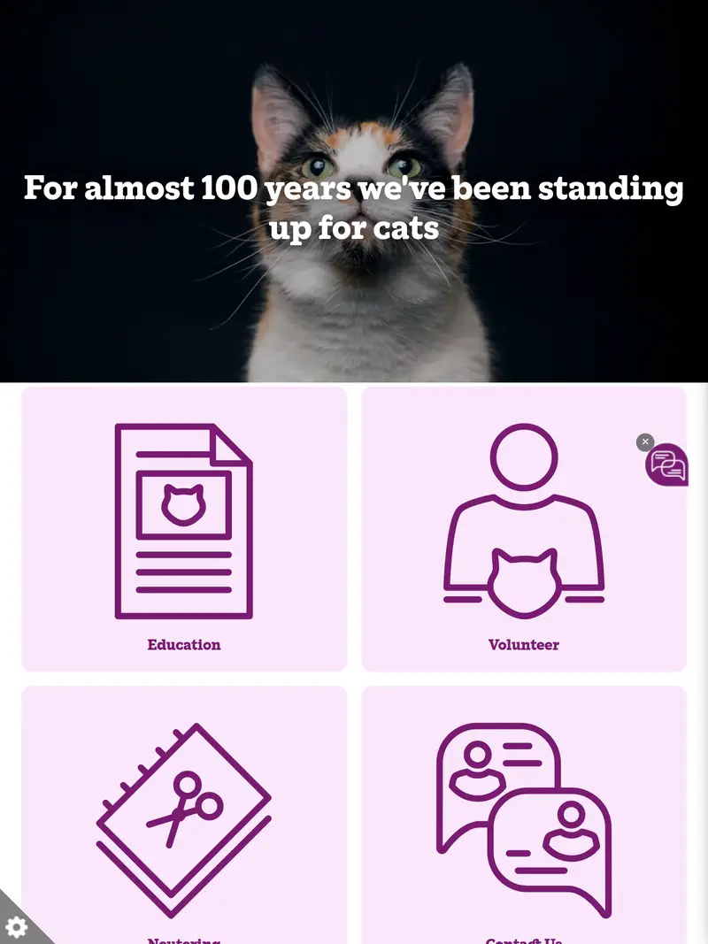 Cats Protection - homepage (tablet)