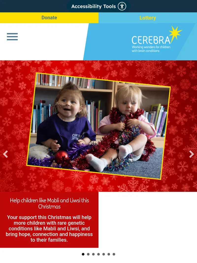 Cerebra - homepage (tablet)