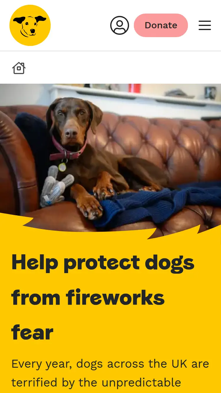 Dogs Trust - homepage (mobile)