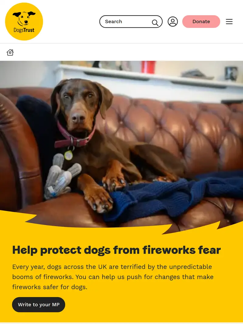 Dogs Trust - homepage (tablet)
