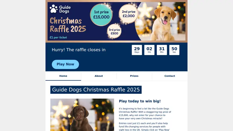 Guide Dogs Raffle - homepage (desktop)
