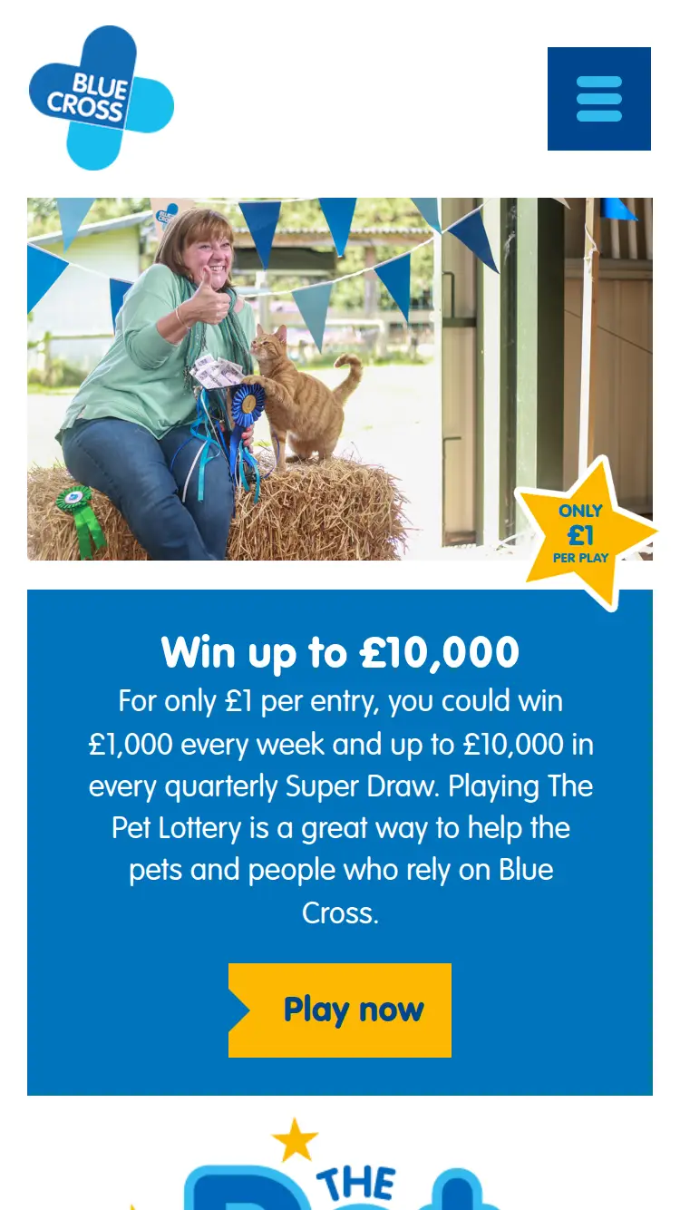 Blue Cross Lottery - homepage (mobile)