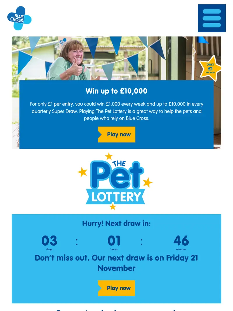 Blue Cross Lottery - homepage (tablet)