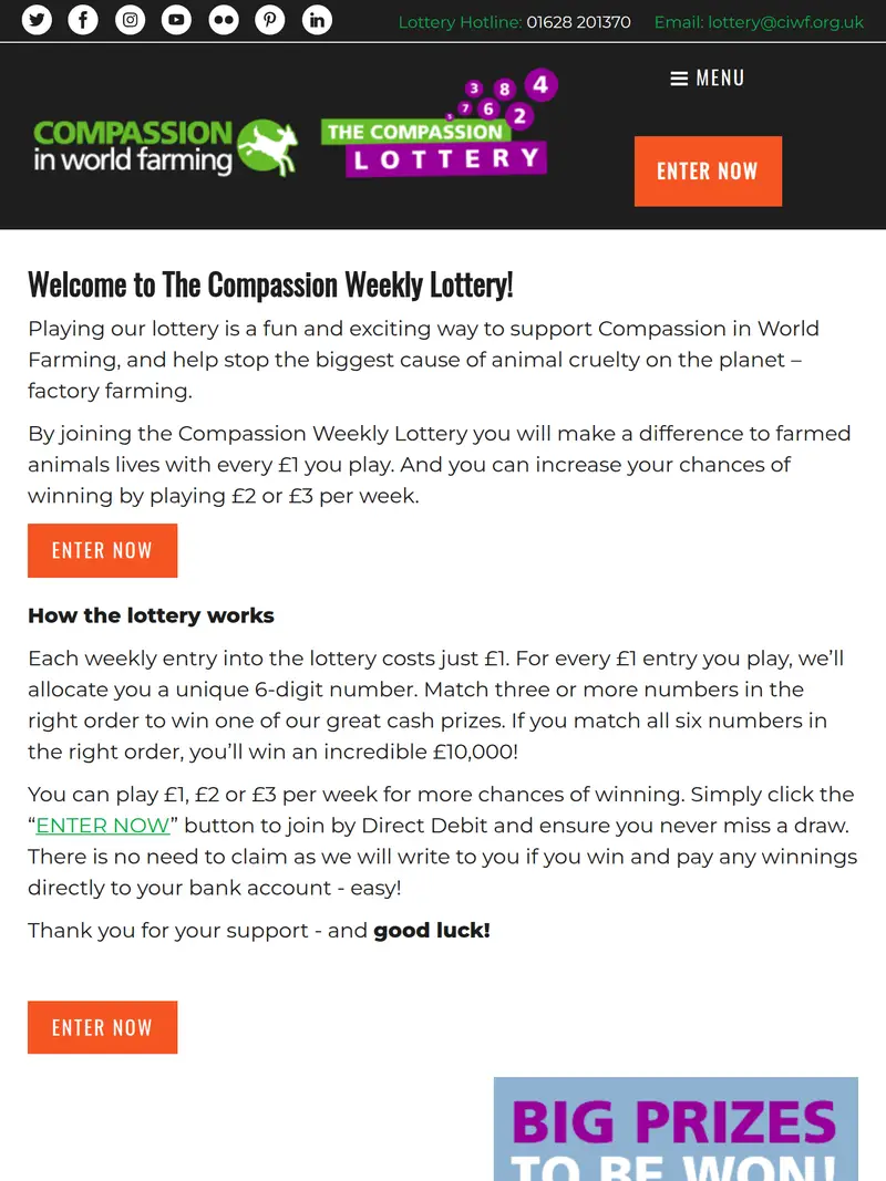 CIWF Lottery - homepage (tablet)