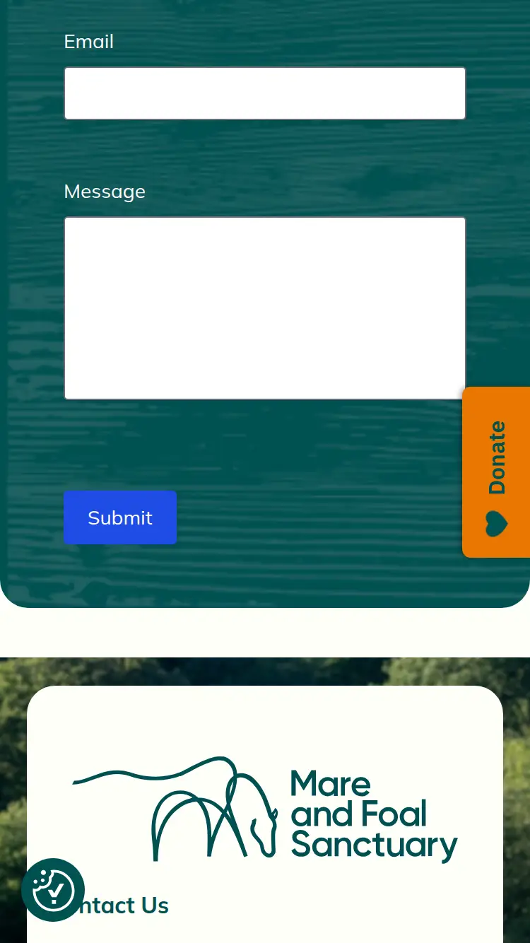 Mare and Foal - homepage (mobile)