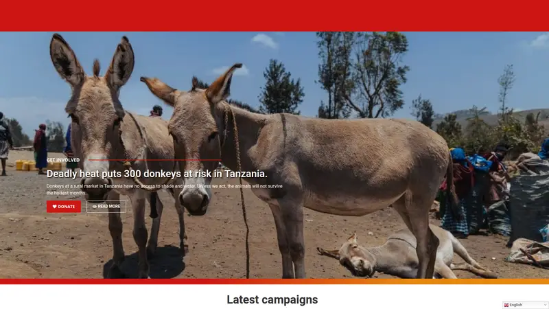 Networkforanimals - homepage (desktop)