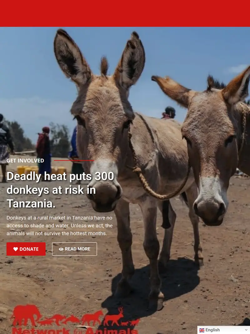 Networkforanimals - homepage (tablet)