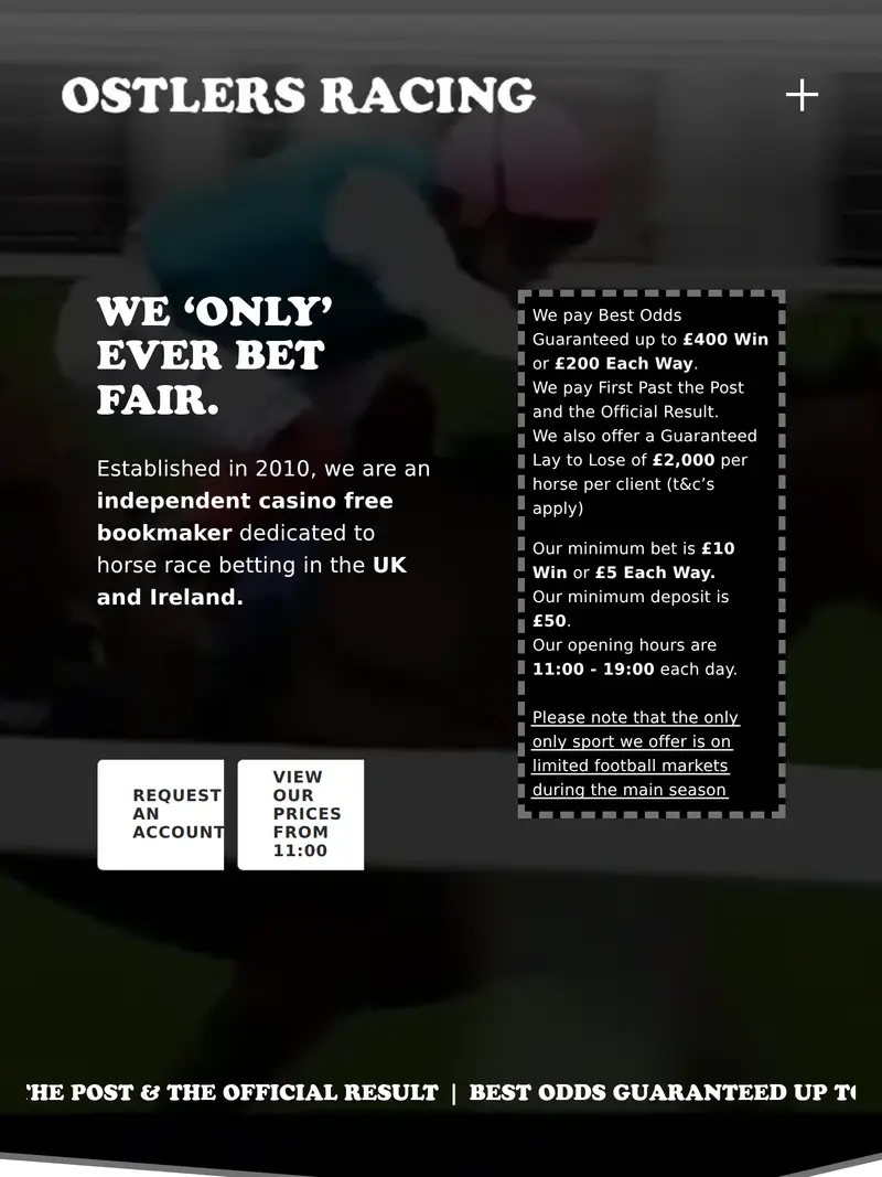 Ostlers Racing - homepage (tablet)