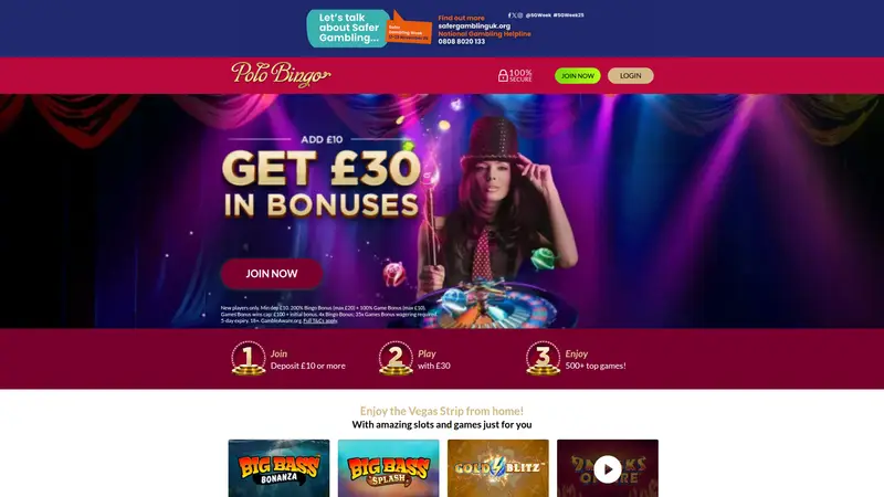 Polo Bingo - homepage (desktop)