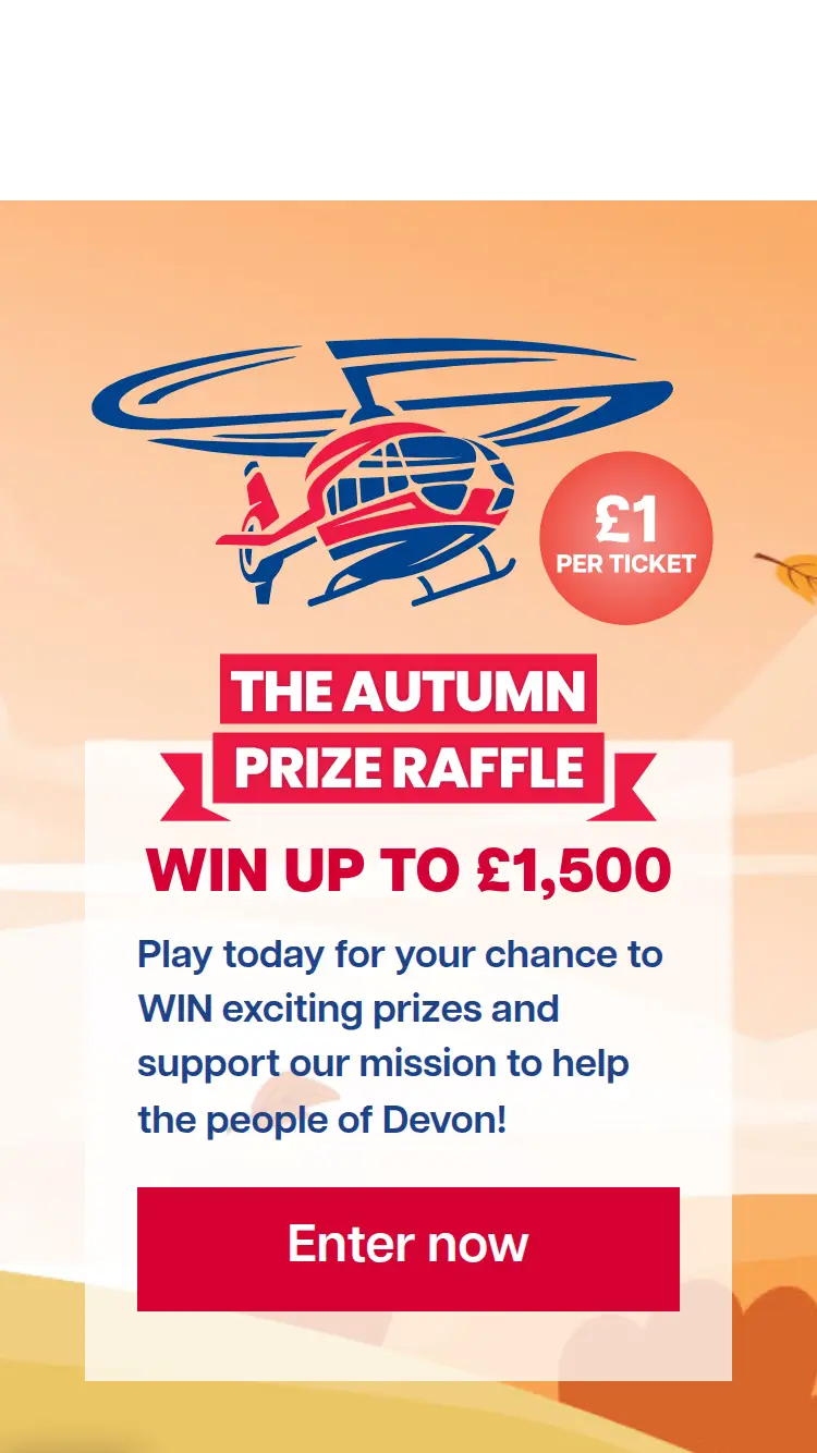 DAAT Raffle - homepage (mobile)