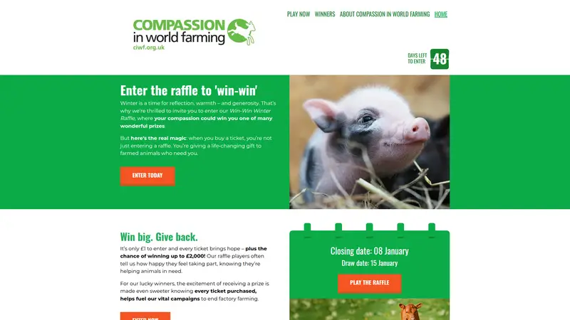 Raffle Player - homepage (desktop)