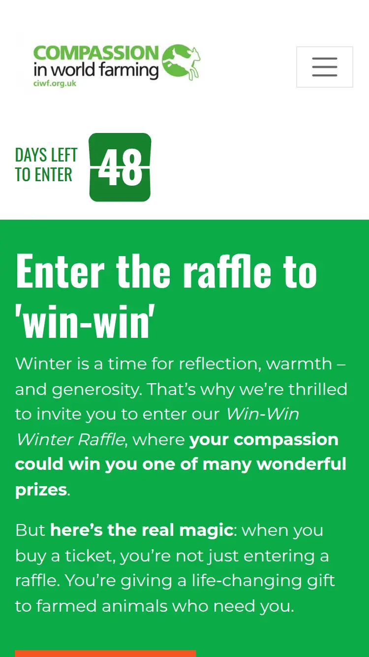 Raffle Player - homepage (mobile)