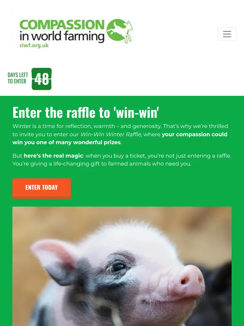 Raffle Player - homepage (tablet)