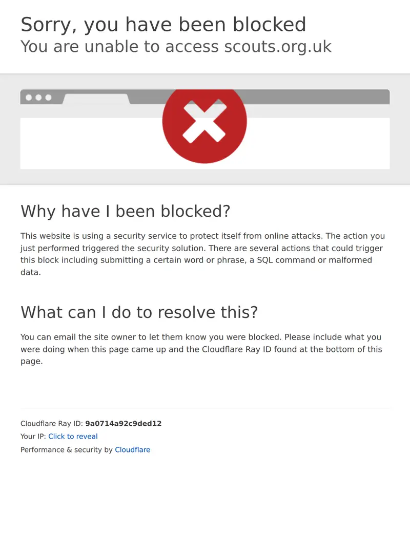 Scouts - homepage (tablet)
