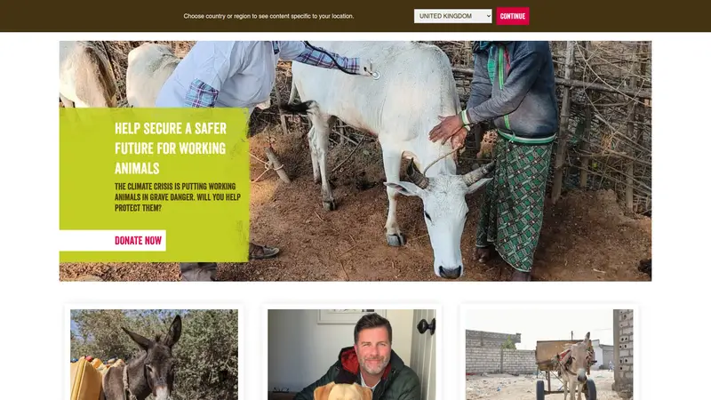 Spana - homepage (desktop)