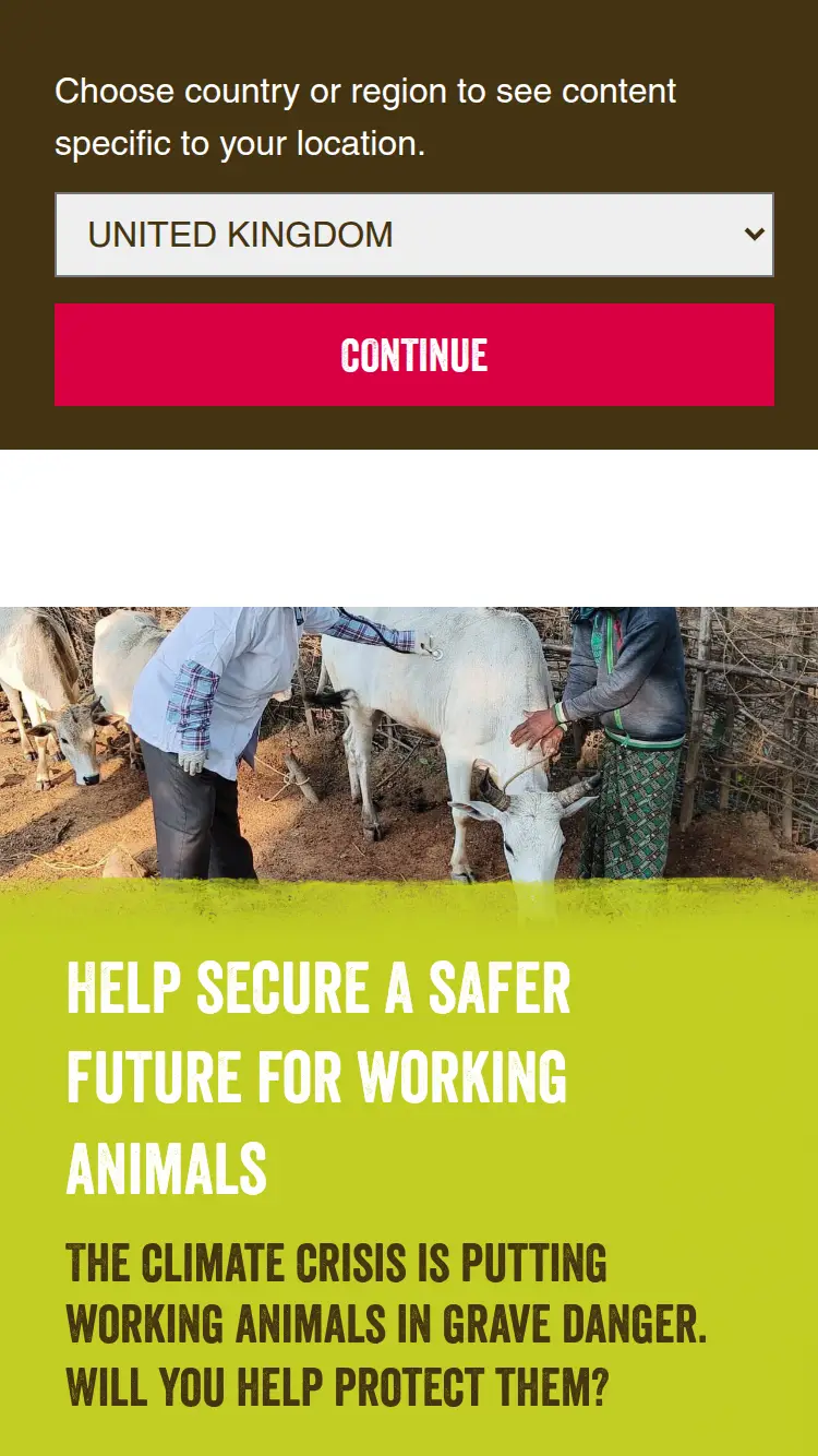 Spana - homepage (mobile)