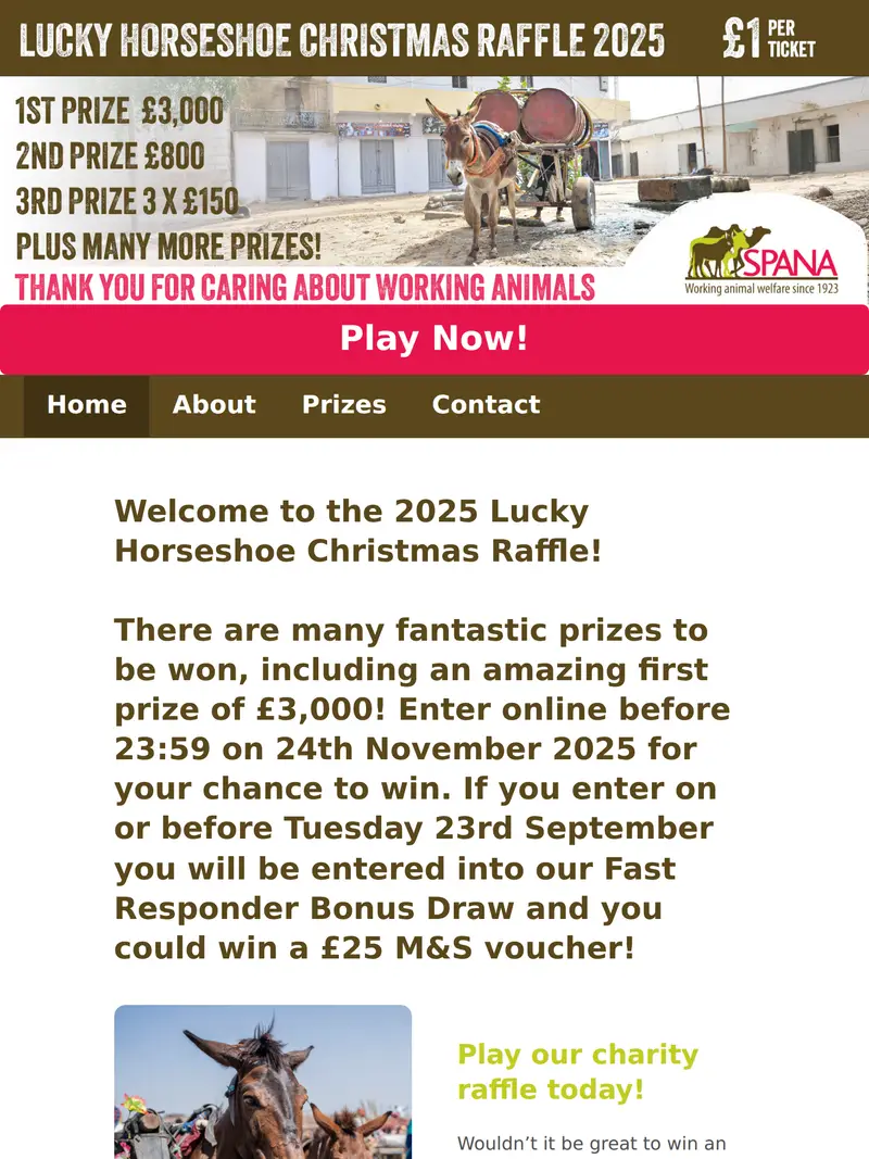 SPANA Raffle - homepage (tablet)