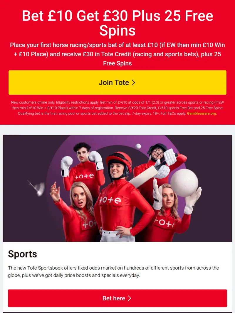 Tote - homepage (tablet)