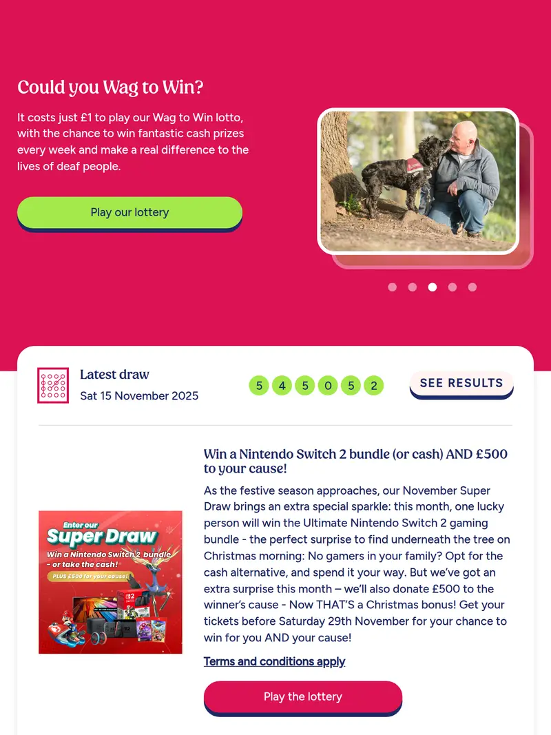 Wagtowin Lotto - homepage (tablet)