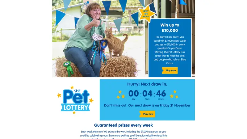 Blue Cross Win Big for Pets - homepage (desktop)