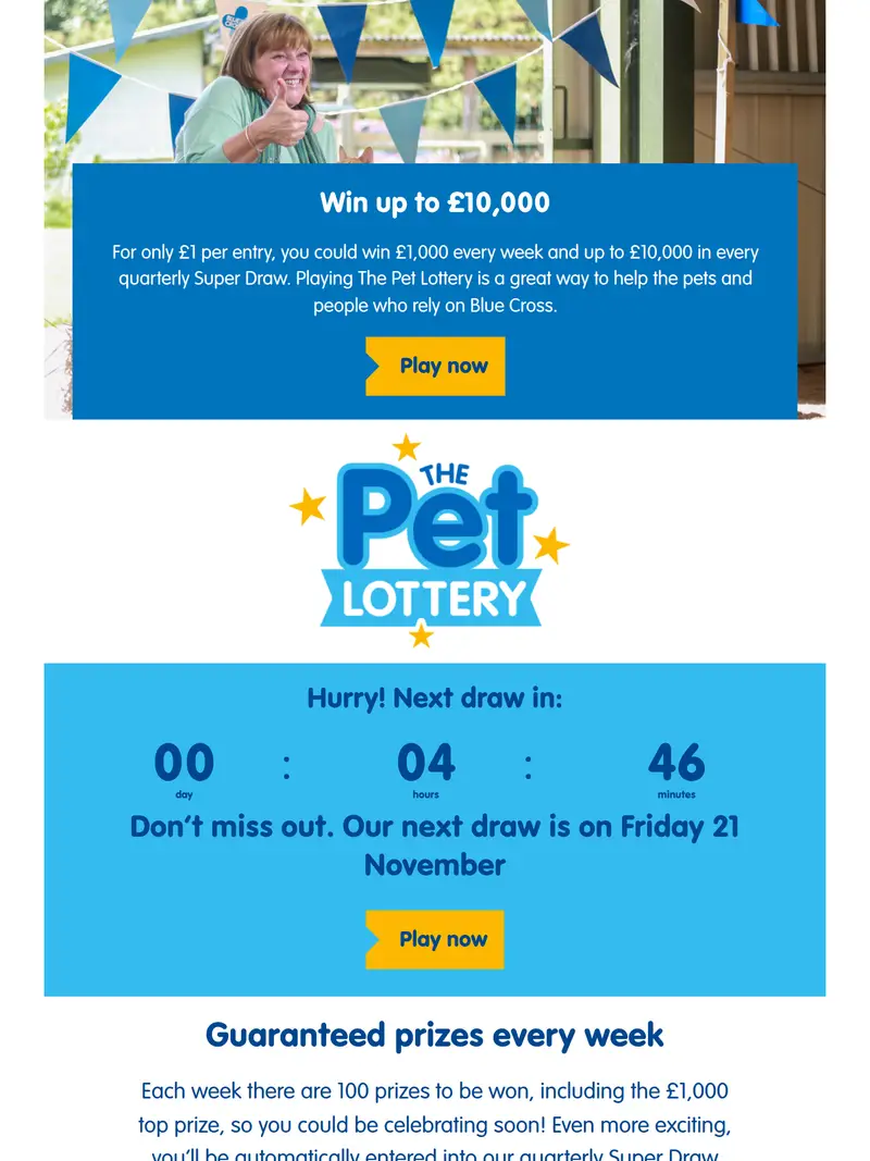 Blue Cross Win Big for Pets - homepage (tablet)