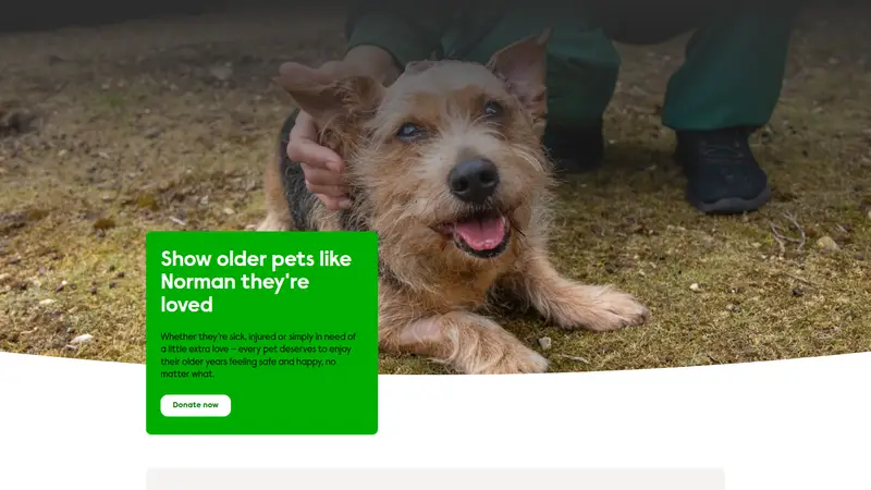 Wood Green - homepage (desktop)