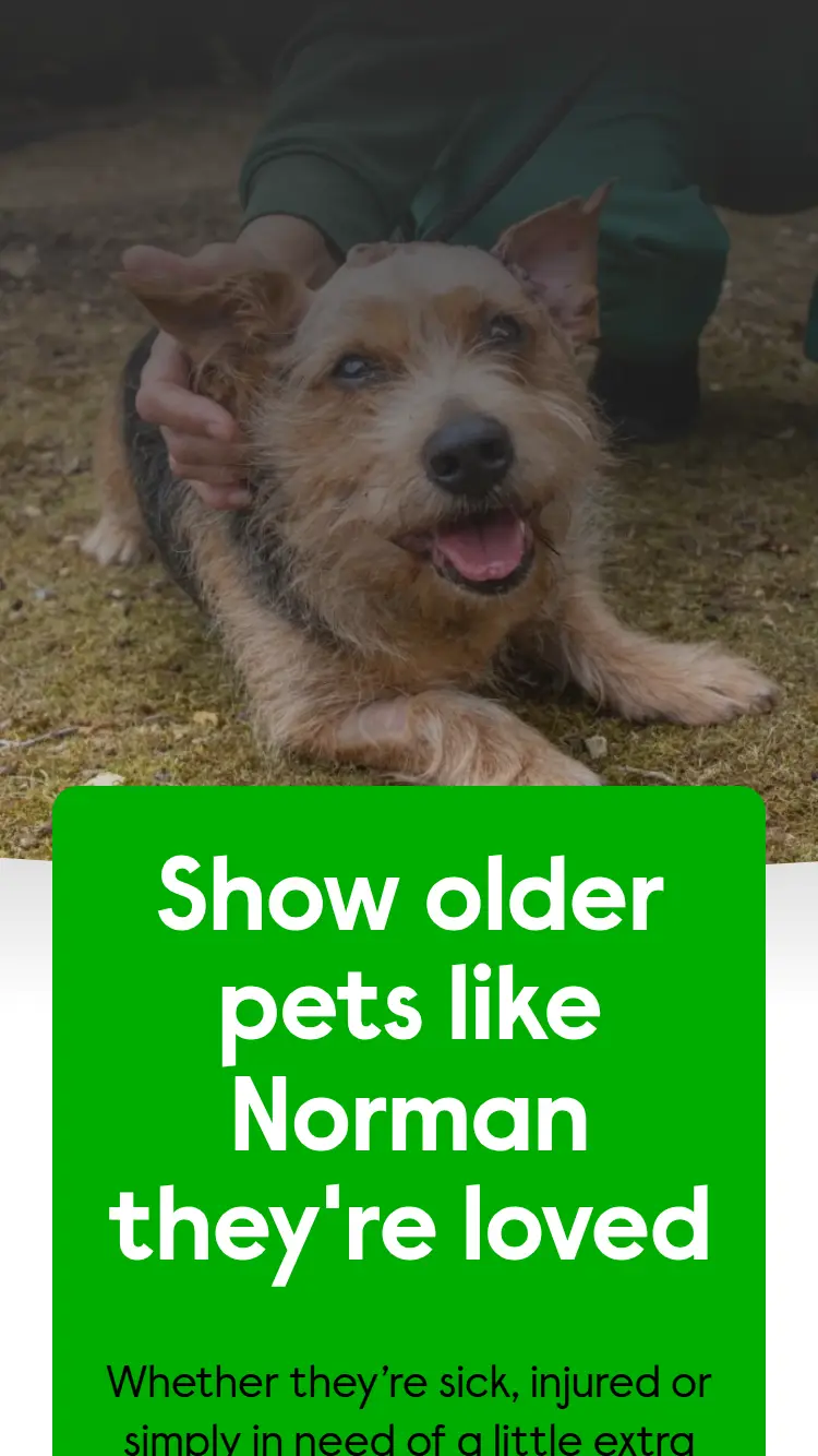 Wood Green - homepage (mobile)