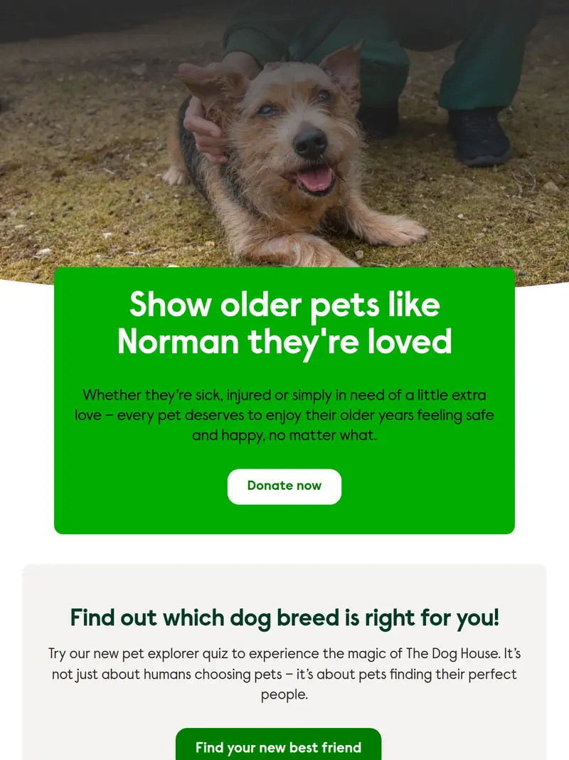 Wood Green - homepage (tablet)