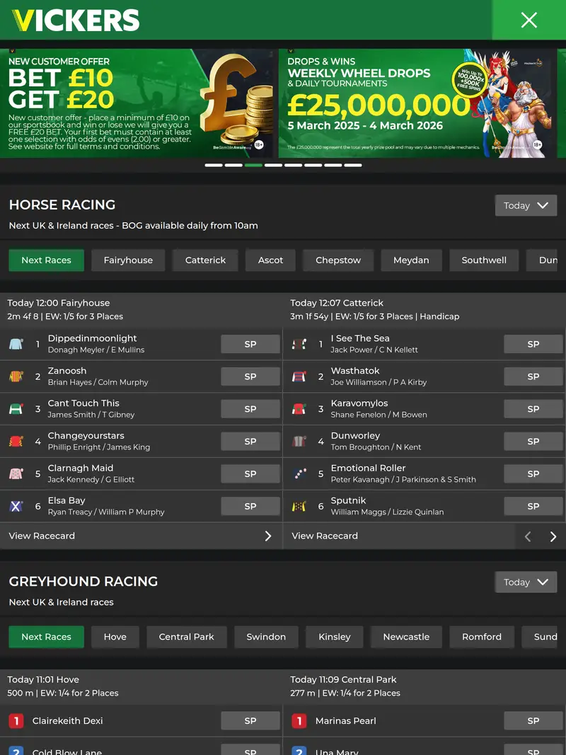 Betvickers - homepage (tablet)