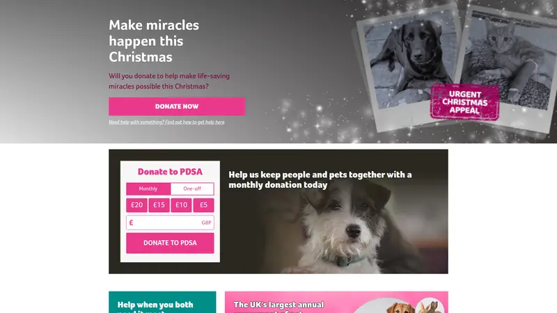 Pdsa - homepage (desktop)