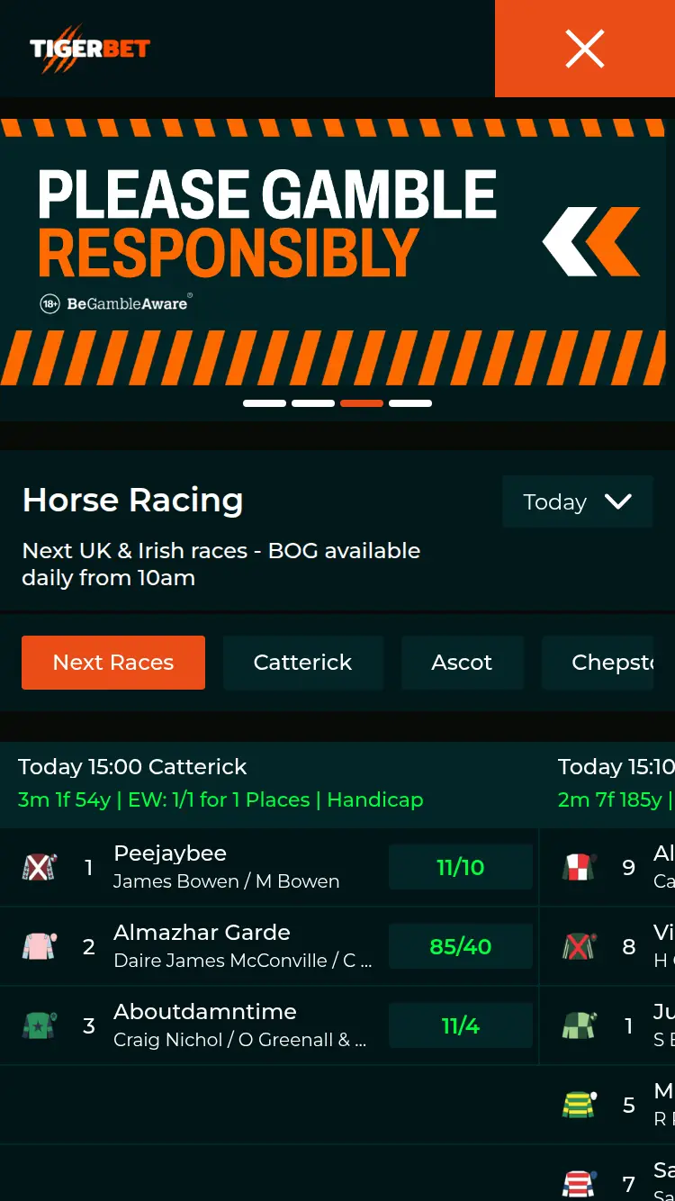 Tiger Bet - homepage (mobile)