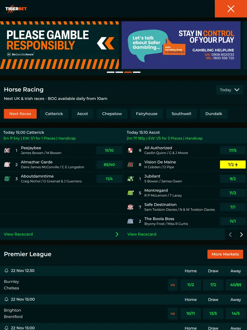 Tiger Bet - homepage (tablet)