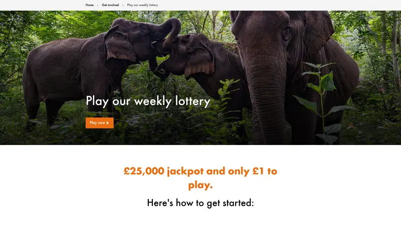 World Animal Protection - homepage (desktop)