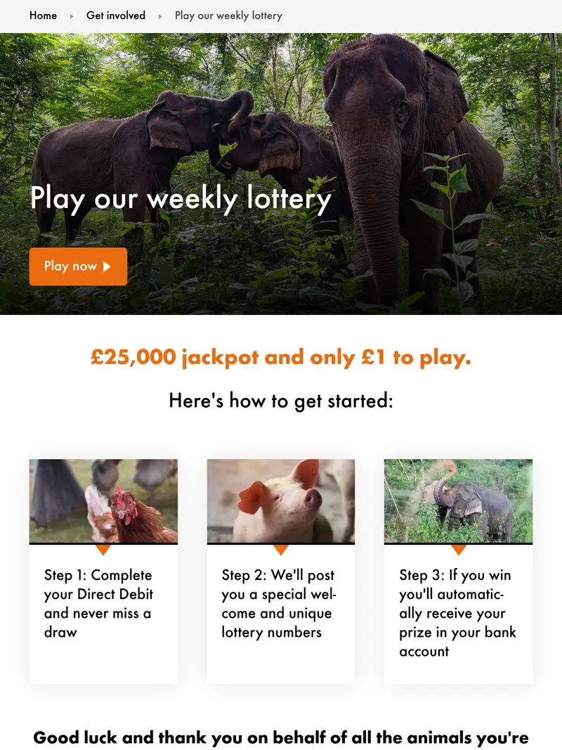 World Animal Protection - homepage (tablet)