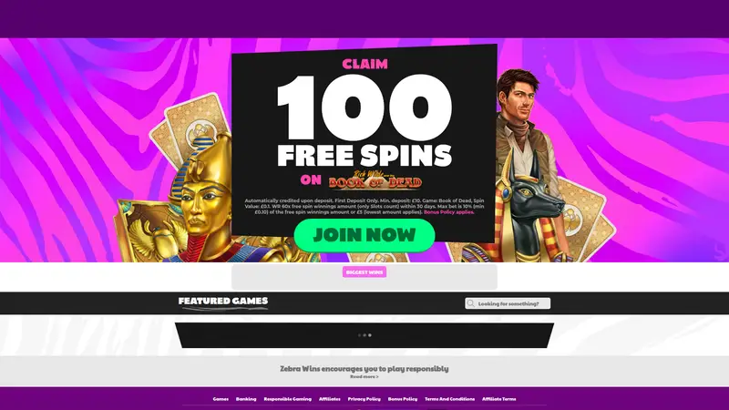 Zebra Wins - homepage (desktop)