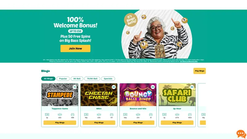 Zebra Bingo - homepage (desktop)