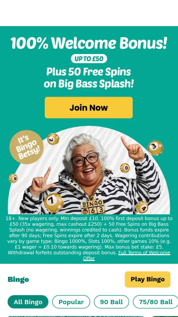 Zebra Bingo - homepage (mobile)