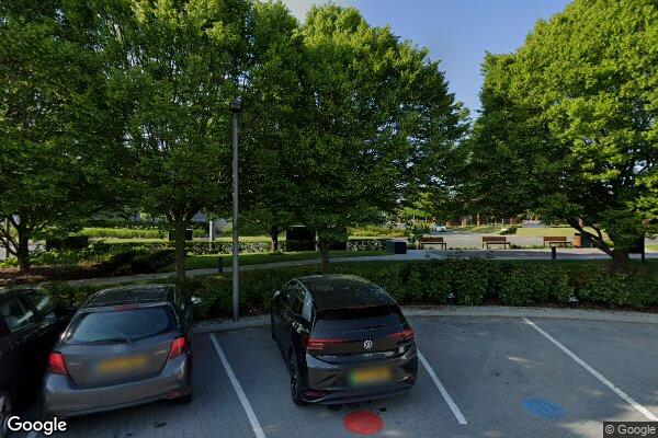 Street View of Octopus Game Limited