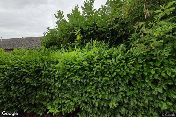 Street View of Club 2000 Bingo Limited